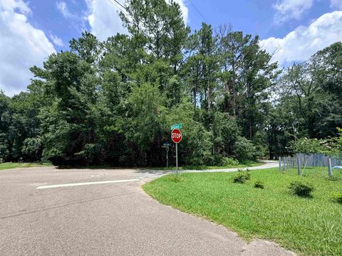 Photo of 6820 Bird Song Trail, Tallahassee, FL 32309 (MLS # 402758)