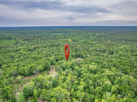 Tiny photo for 30 Keerns Road, Crawfordville, FL 32327 (MLS # 399435)