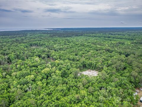 Tiny photo for 30 Keerns Road, Crawfordville, FL 32327 (MLS # 399435)