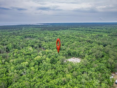 Tiny photo for 30 Keerns Road, Crawfordville, FL 32327 (MLS # 399435)