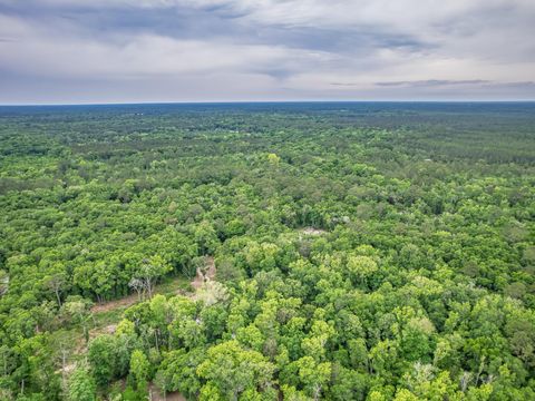 Tiny photo for 30 Keerns Road, Crawfordville, FL 32327 (MLS # 399435)