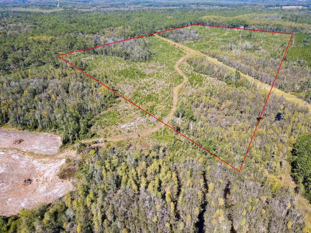 Photo of 000 SW Mt.Gilead Road, Lamont, FL 32331 (MLS # 399729)