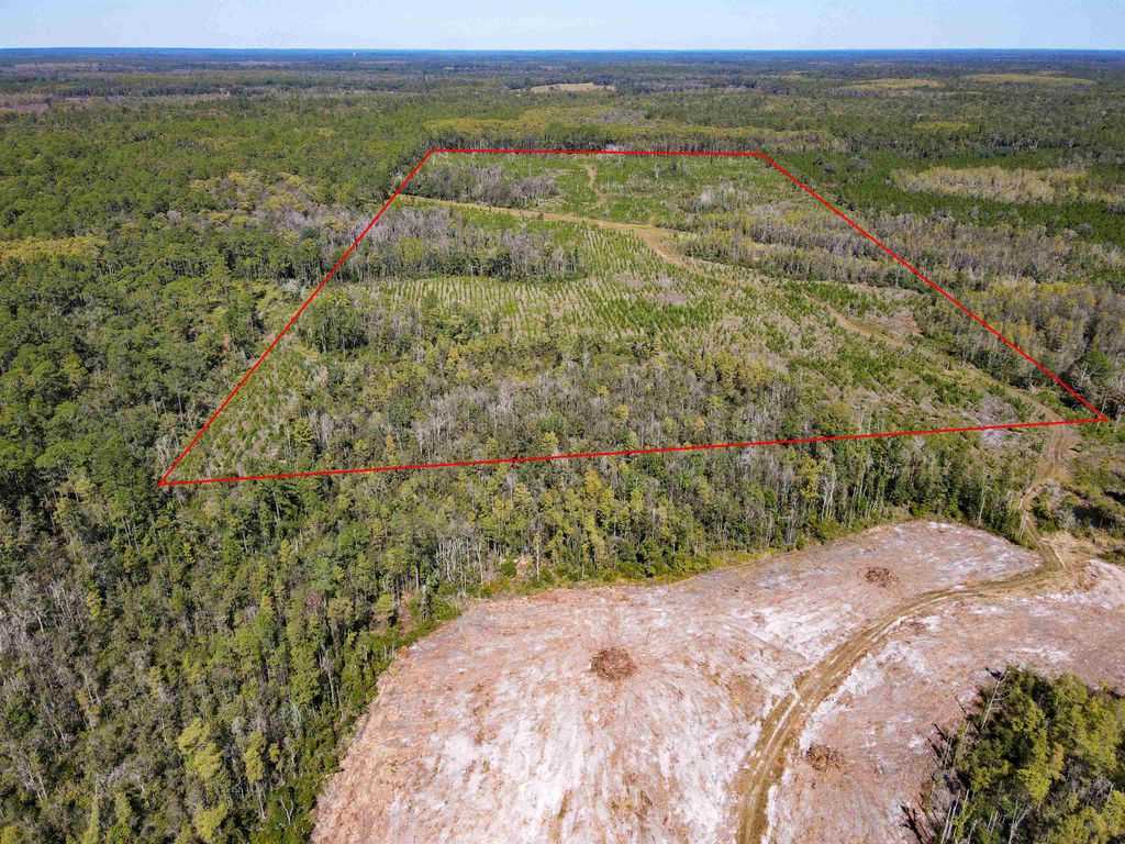 Photo of 000 SW Mt.Gilead Road, Lamont, FL 32331 (MLS # 399729)