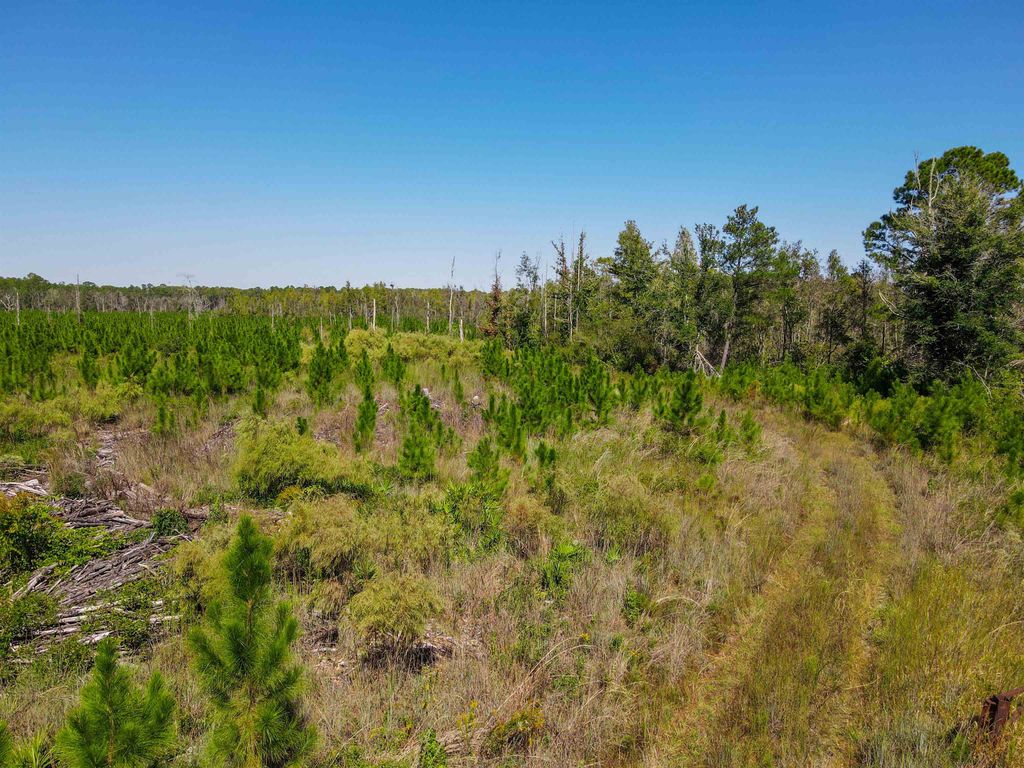 Photo of 000 SW Mt.Gilead Road, Lamont, FL 32331 (MLS # 399729)