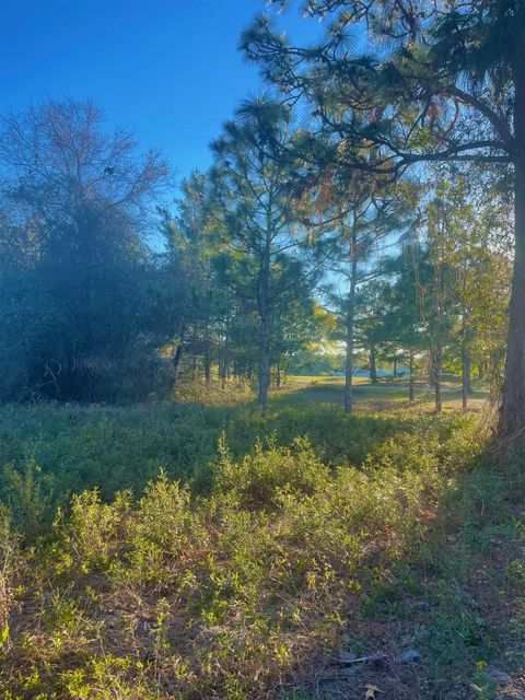 269 Royal Tern Way Carrabelle FL 32322
