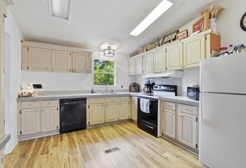 Tiny photo for 1691 Bobby Hodges Road, Perry, FL 32348 (MLS # 396790)
