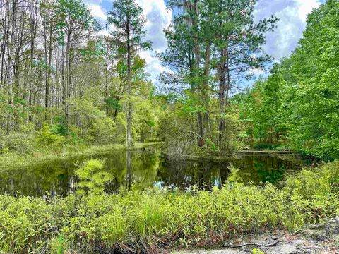 Tiny photo for 9571 Old St Augustine Road, Tallahassee, FL 32311 (MLS # 389926)