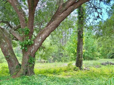 Tiny photo for 9571 Old St Augustine Road, Tallahassee, FL 32311 (MLS # 389926)