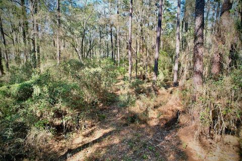 Tiny photo for 0 Amber Valley Drive, Tallahassee, FL 32312 (MLS # 397390)