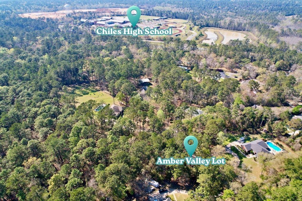 Photo of 0 Amber Valley Drive, Tallahassee, FL 32312 (MLS # 397390)