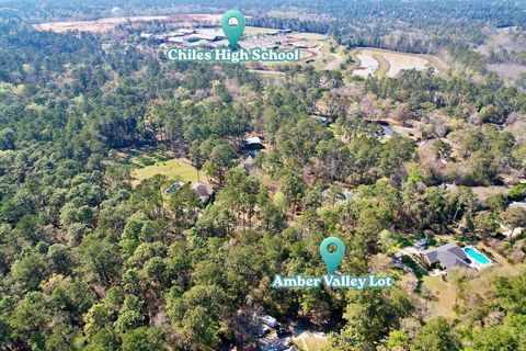 Photo of 0 Amber Valley Drive, Tallahassee, FL 32312 (MLS # 397390)