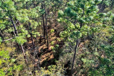 Tiny photo for 0 Amber Valley Drive, Tallahassee, FL 32312 (MLS # 397390)