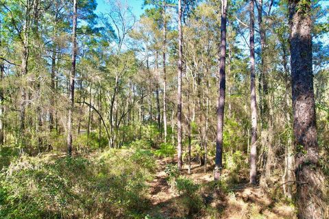 Tiny photo for 0 Amber Valley Drive, Tallahassee, FL 32312 (MLS # 397390)