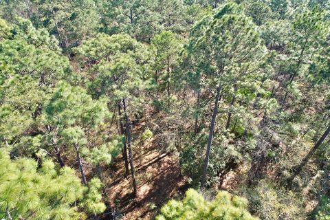 Tiny photo for 0 Amber Valley Drive, Tallahassee, FL 32312 (MLS # 397390)