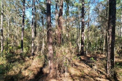 Tiny photo for 0 Amber Valley Drive, Tallahassee, FL 32312 (MLS # 397390)
