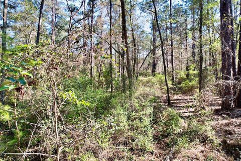 Tiny photo for 0 Amber Valley Drive, Tallahassee, FL 32312 (MLS # 397390)