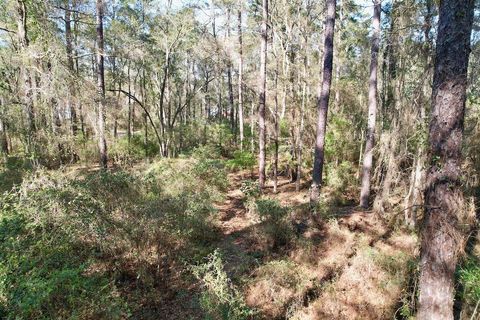 Tiny photo for 0 Amber Valley Drive, Tallahassee, FL 32312 (MLS # 397390)