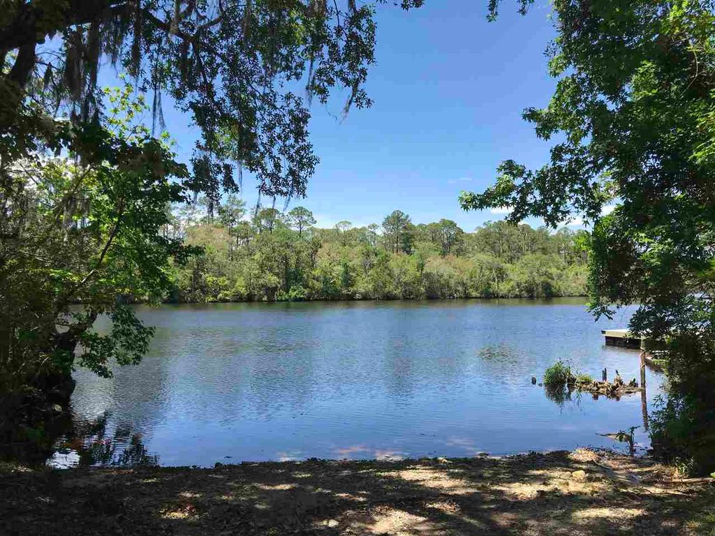 Photo of xx Big Fish Drive, Sopchoppy, FL 32358 (MLS # 374780)