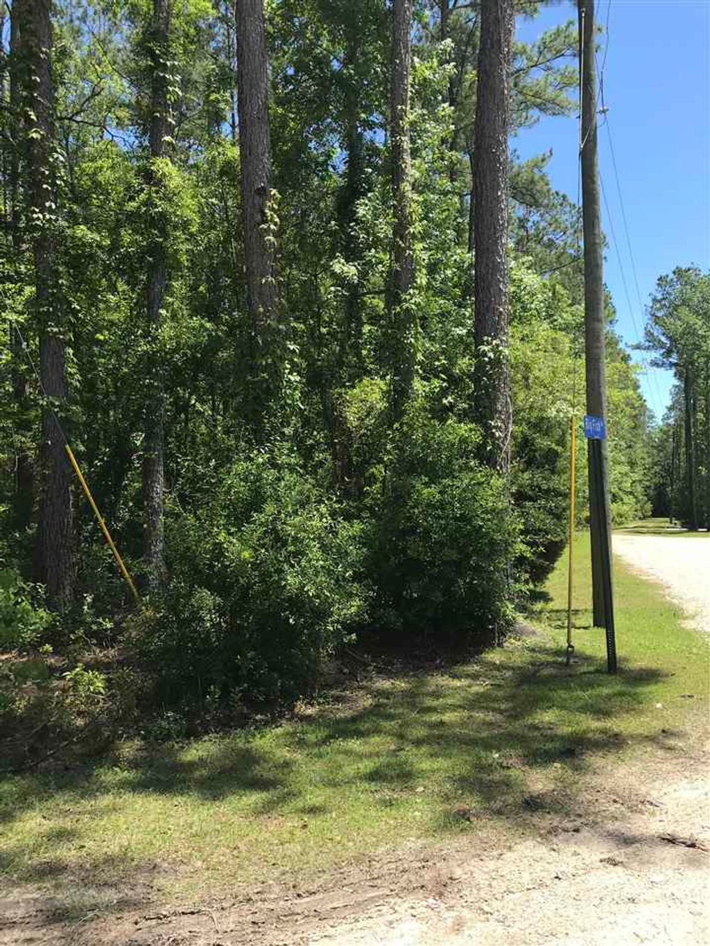 Photo of xx Big Fish Drive, Sopchoppy, FL 32358 (MLS # 374780)