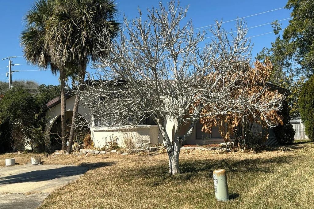 Photo of 171 Fairway Drive, Other Florida, FL 32176 (MLS # 402752)
