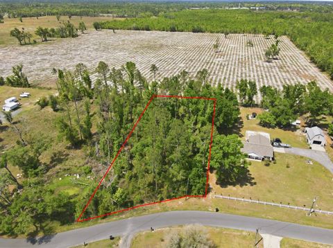 Photo of 503 Judson Drive, Perry, FL 32348 (MLS # 398508)