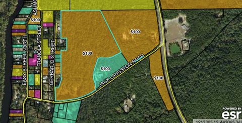 X Jack Langston Road Sopchoppy FL 32358