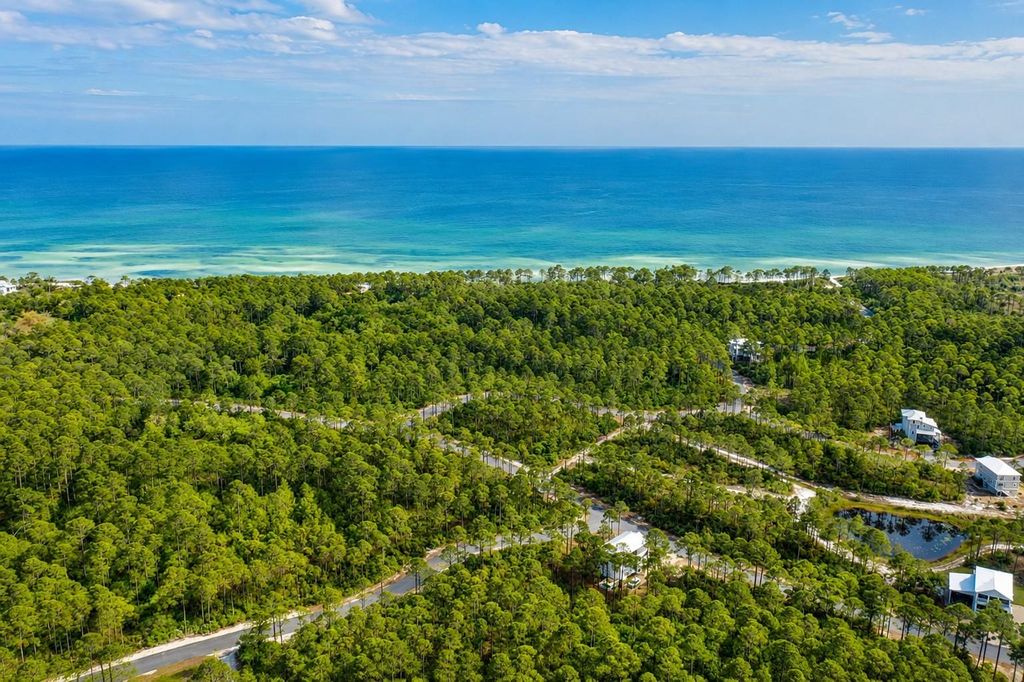 Photo of 133 Fish Hook Way, St Teresa, FL 32358 (MLS # 399789)