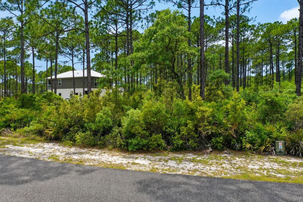 Photo of 133 Fish Hook Way, St Teresa, FL 32358 (MLS # 399789)