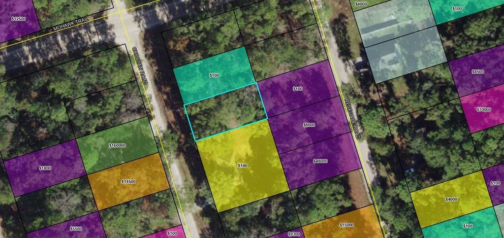 Photo of XXX Choctaw Road, Crawfordville, FL 32327 (MLS # 399100)