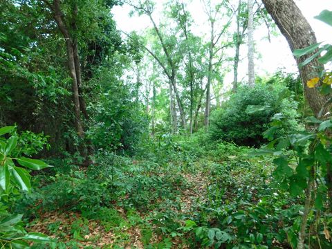 Tiny photo for S 12th Street, Quincy, FL 32351 (MLS # 399257)