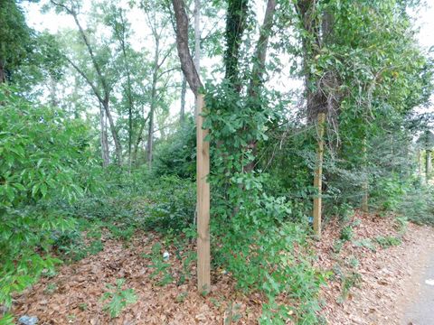 Tiny photo for S 12th Street, Quincy, FL 32351 (MLS # 399257)