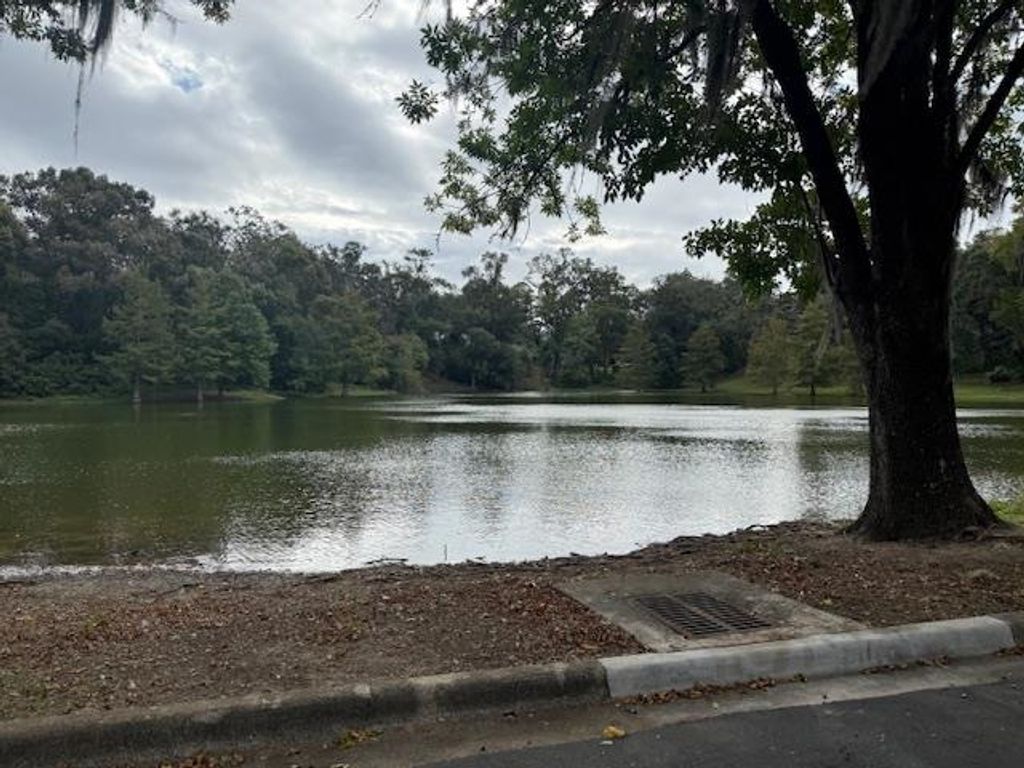 Photo of 1107 Myers Park Drive, Tallahassee, FL 32301 (MLS # 392203)