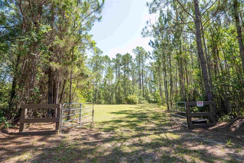 Tiny photo for 25516 NE Cinelli Lake Circle, Hosford, FL 32334 (MLS # 401546)