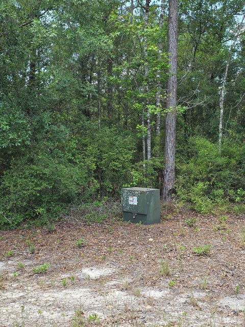 Tiny photo for 25516 NE Cinelli Lake Circle, Hosford, FL 32334 (MLS # 401546)