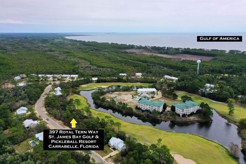 397 Royal Tern Way Carrabelle FL 32322