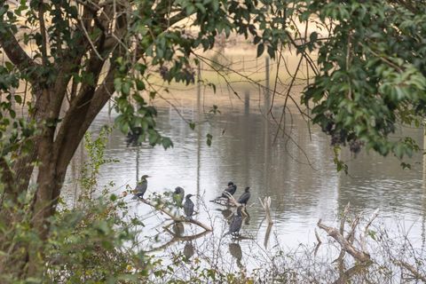 Tiny photo for 1956 Nicklaus Drive #A, Tallahassee, FL 32301 (MLS # 395878)