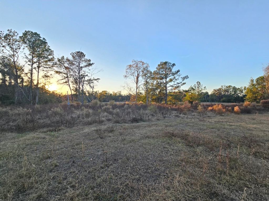 Photo of 241 NW Darwin Loop, Madison, FL 32340 (MLS # 393399)
