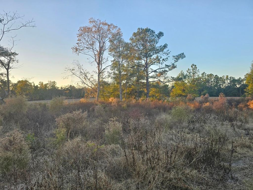 Photo of 241 NW Darwin Loop, Madison, FL 32340 (MLS # 393399)