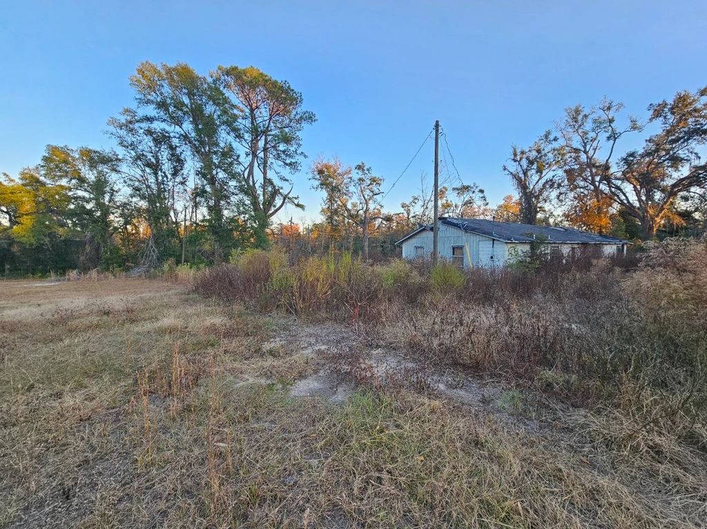 Photo of 241 NW Darwin Loop, Madison, FL 32340 (MLS # 393399)