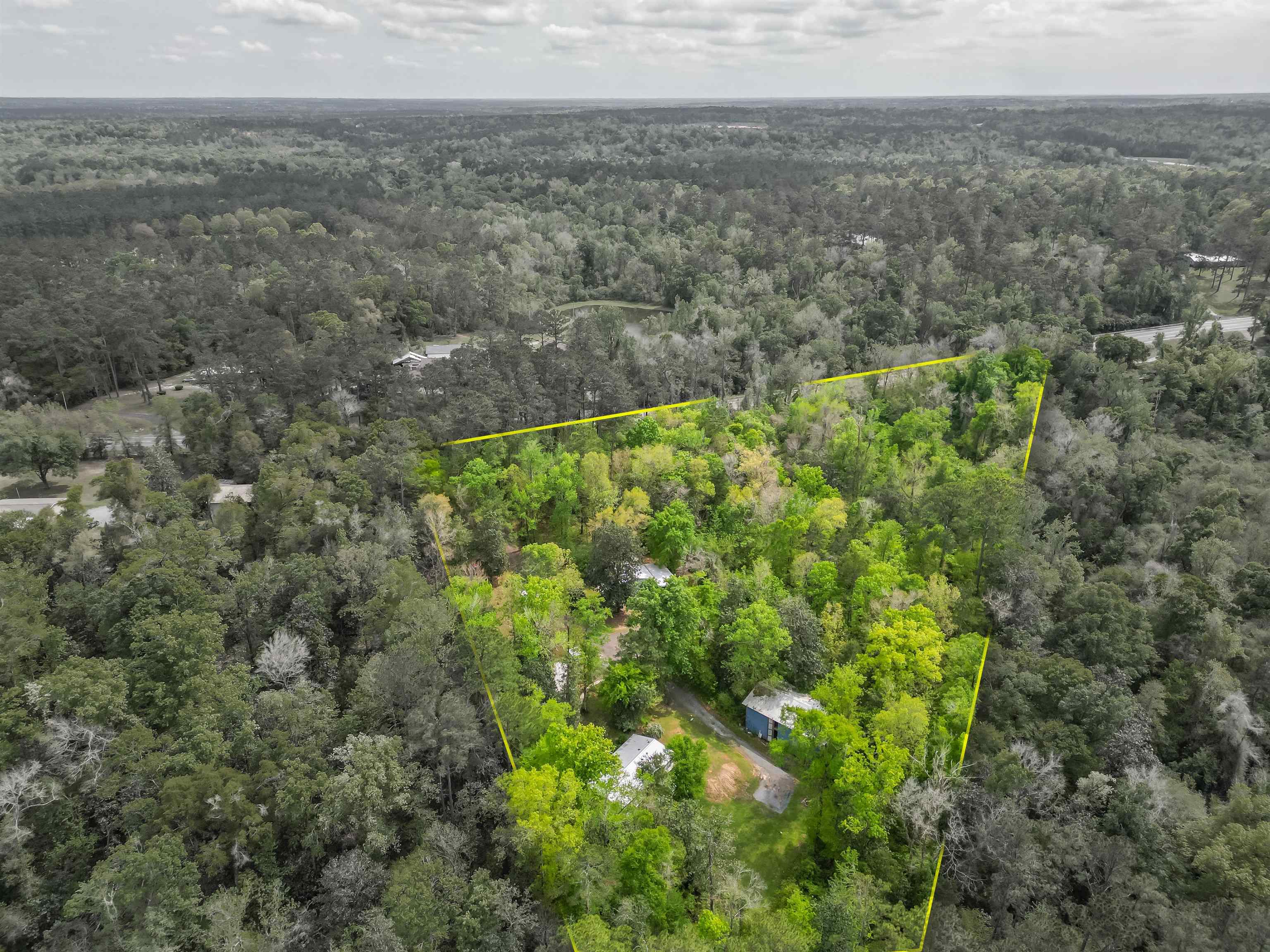 451 Havana Highway -