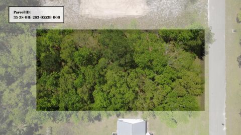00 Old Palmetto Path St Marks FL 32355