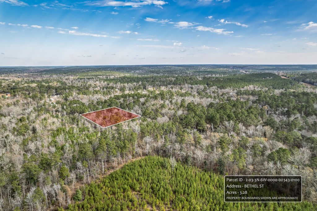 Photo of xx Bethel Street, Chattahoochee, FL 32324 (MLS # 396319)