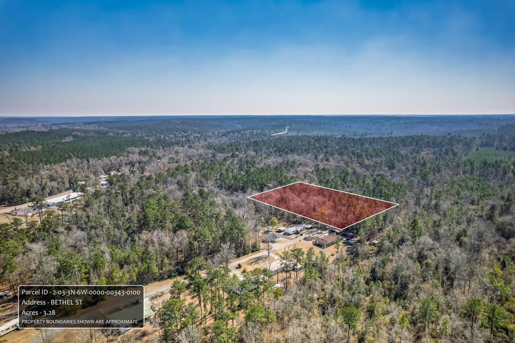 Photo of xx Bethel Street, Chattahoochee, FL 32324 (MLS # 396319)