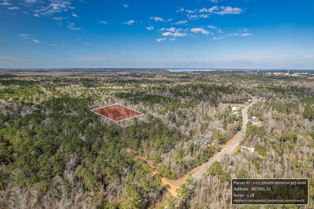 Photo of xx Bethel Street, Chattahoochee, FL 32324 (MLS # 396319)