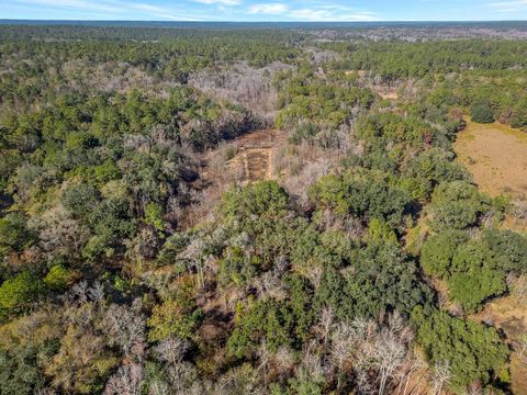 Tiny photo for XX GARDNERS FARM Road, Tallahassee, FL 32312 (MLS # 393896)