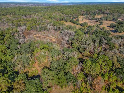 Tiny photo for XX GARDNERS FARM Road, Tallahassee, FL 32312 (MLS # 393896)