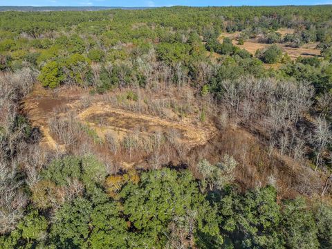 Tiny photo for XX GARDNERS FARM Road, Tallahassee, FL 32312 (MLS # 393896)