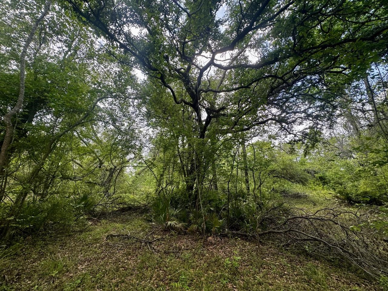 3084 NE Chervil Drive