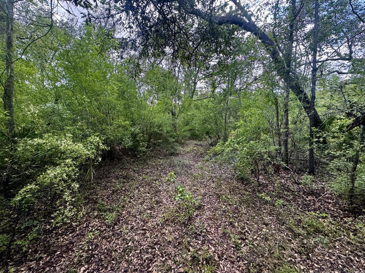 3084 NE Chervil Drive