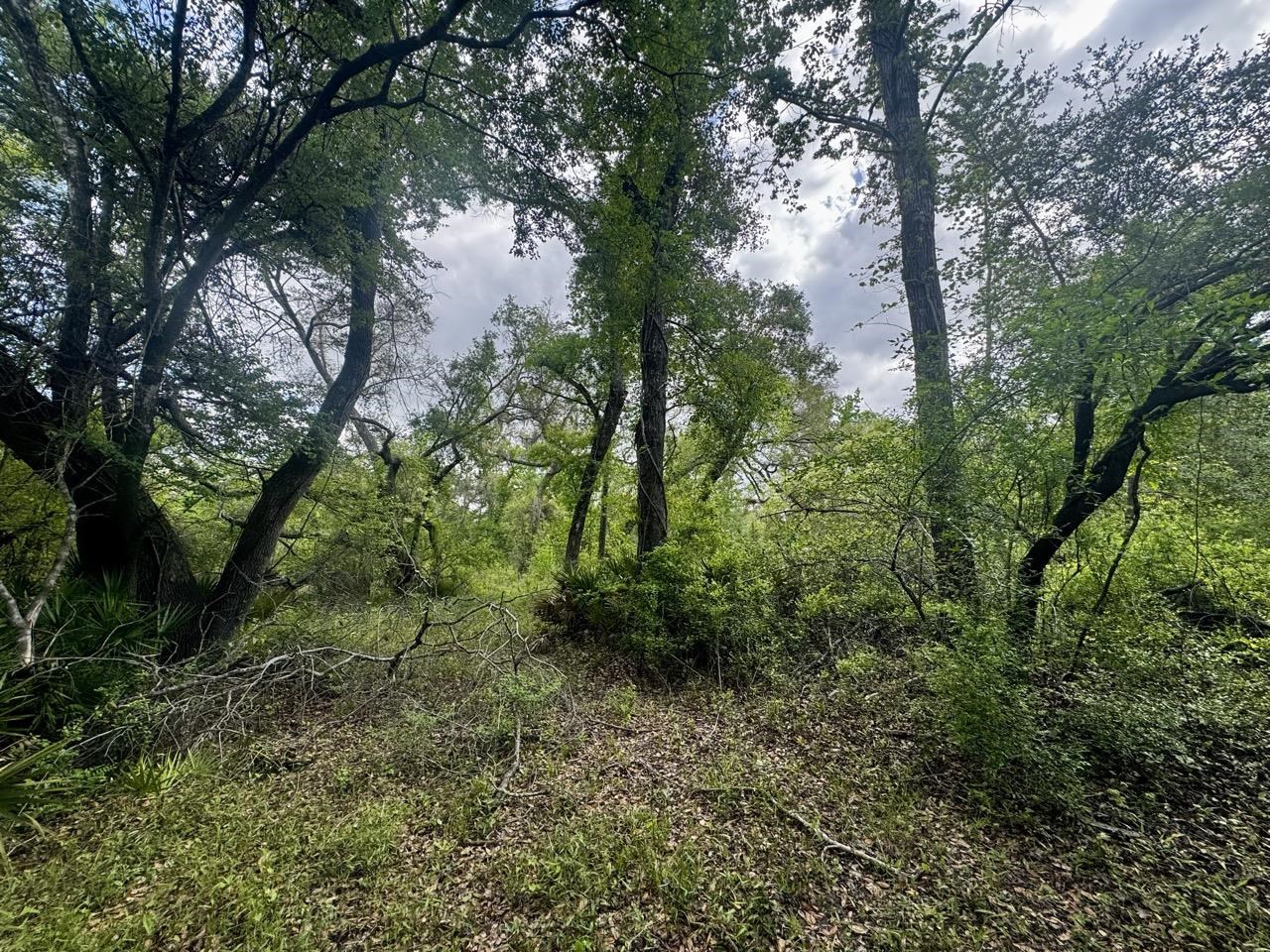 3084 NE Chervil Drive